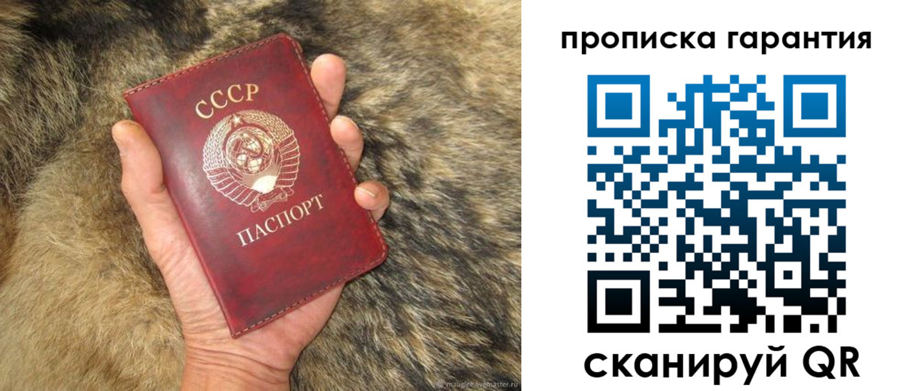 прописка паспорт в Вологодской области